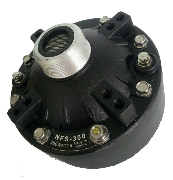 NFS-300.jpg